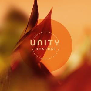 Unity