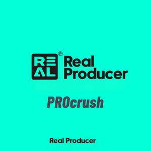 Call of silence（PROcrush remix）