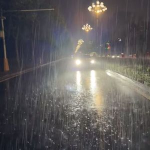 《土豆飘香的田园乐章》灵萌可爱的水果拼盘