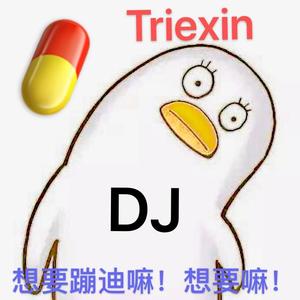 Teamworx-fly bounce-remix（Triexin-mashup）（Determination / Triexin remix）