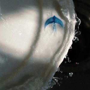 可惜你从来都不知道