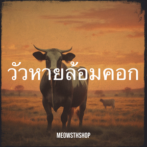 วัวหายล้อมคอก