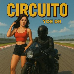 Circuito