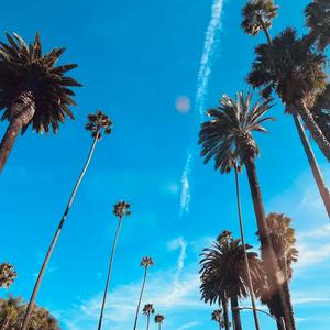 Hello Holiday (feat. TomboyJ & Fifi Koro)