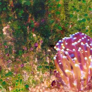 Get On With Your Life