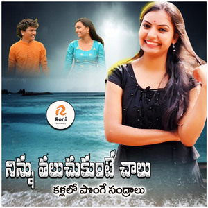 Ninnu Thaluchukunte Chalu