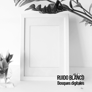 Conservación de ondas