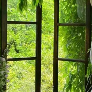 烟花-整曲 伴奏