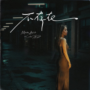 不存在nonexistence