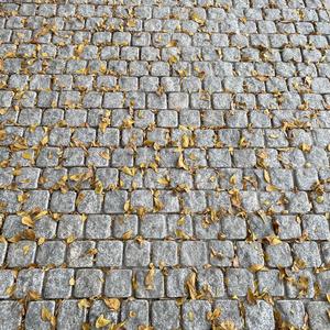 不想了(Pord.赖建宜)