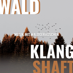 Wald Klanglandschaft