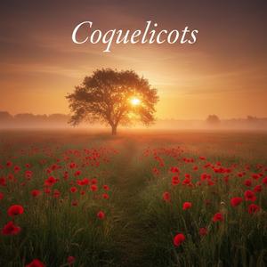 Coquelicots