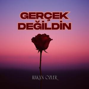 Gerçek Değildin