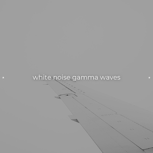 White Noise Black Screen
