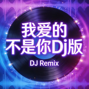 我爱的不是你Dj版.mp3
