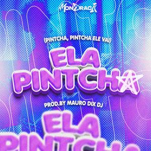 Ela Pintcha (feat. Mauro Dix Deejay & Alexandre Jorge Mix)