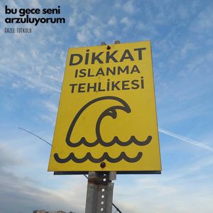 bu gece seni arzuluyorum