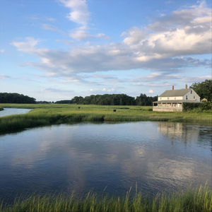 Serenade for Strings: V. Finale