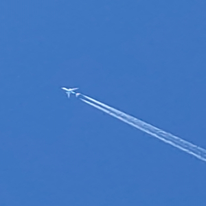 第一希望の最終面接