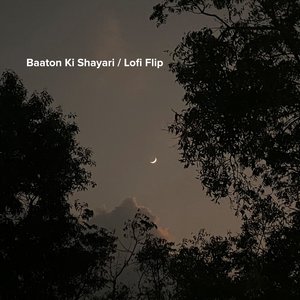 Baaton Ki Shayari (Lofi Flip)
