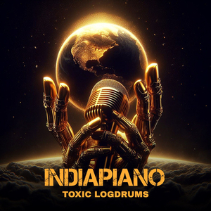 Indiapiano (Toxic Logdrums)