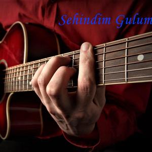 Sehindim Gulum