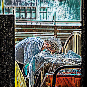 Vegetables Aubergines