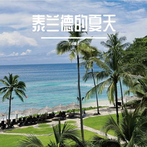 清风会拥抱天空