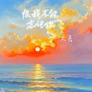 恨我不能忘记你