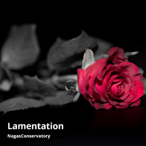 Lamentation