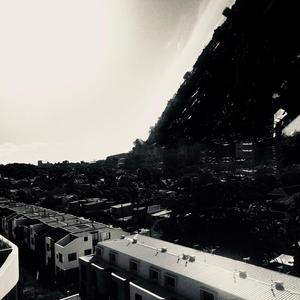 Who Put Bella in the Wych Elm?