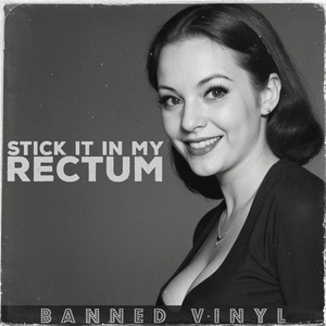 Stick It In My Rectum