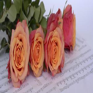 Running Melodies