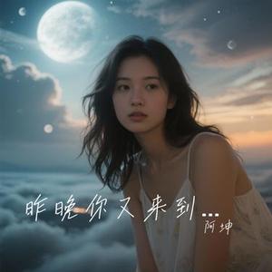 昨晚你又来到我梦里 (Cover 路远山)