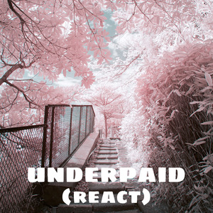 Underpaid (React)