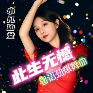 此生无憾（DJ-R7伴奏）