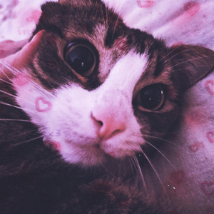 u not me meet (Speed Up)