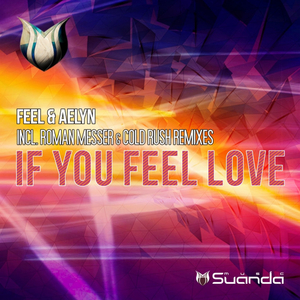 If You Feel Love (Original Mix)