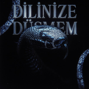 Dilinize Düşmem
