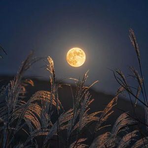 【FREE】 "All In" Lil Tjay Toosii Rod Wave Type Beat