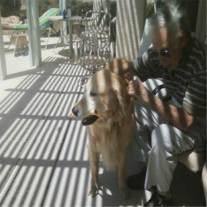 He Does It for the Dogs