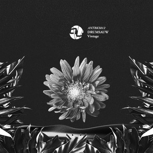 Searching (Radio Edit)