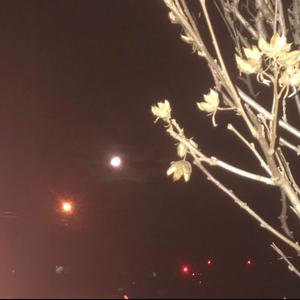 effigy (feat. Matreah)