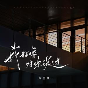 我好像对你说过