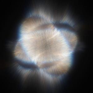 Faded & Closer(Mashup)