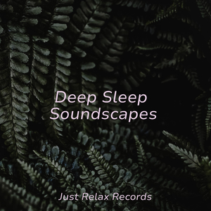 Stellar Whispers Unveiled