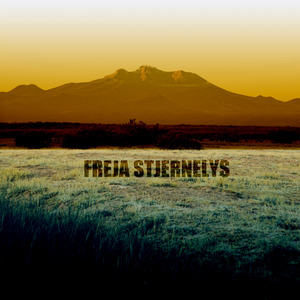 Chancen denne morgen