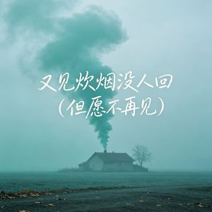 又见炊烟没人回 (但愿不再见)