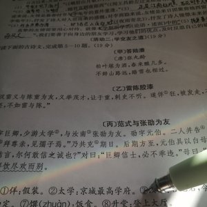 飞飞曲+Yo le canto todo el día(日夜欢唱)