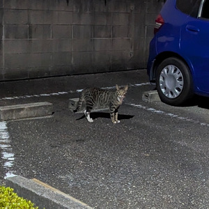 E7-B♭7 ～雨が降ったら晴らそう～ (Instrumental)